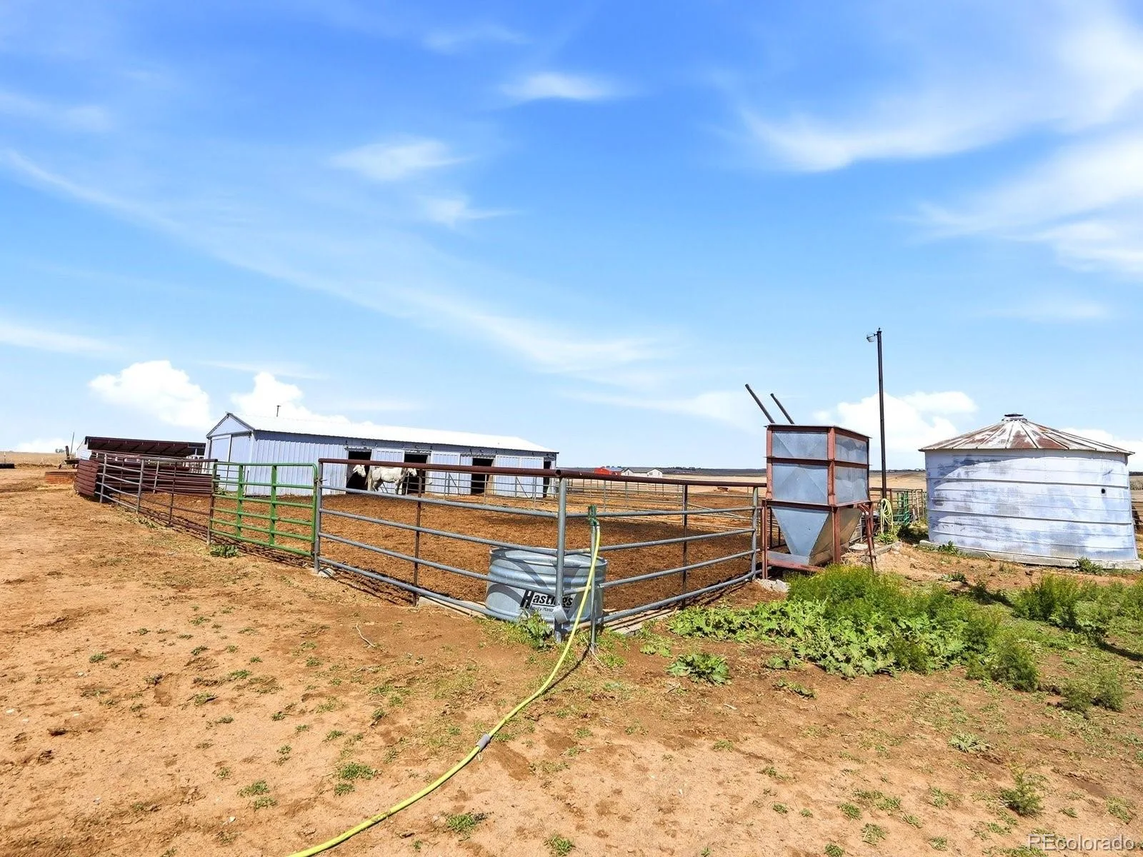 6450 County Road 181 Byers CO 80103 | MLS #REC4650499 07252026180449 1600 16