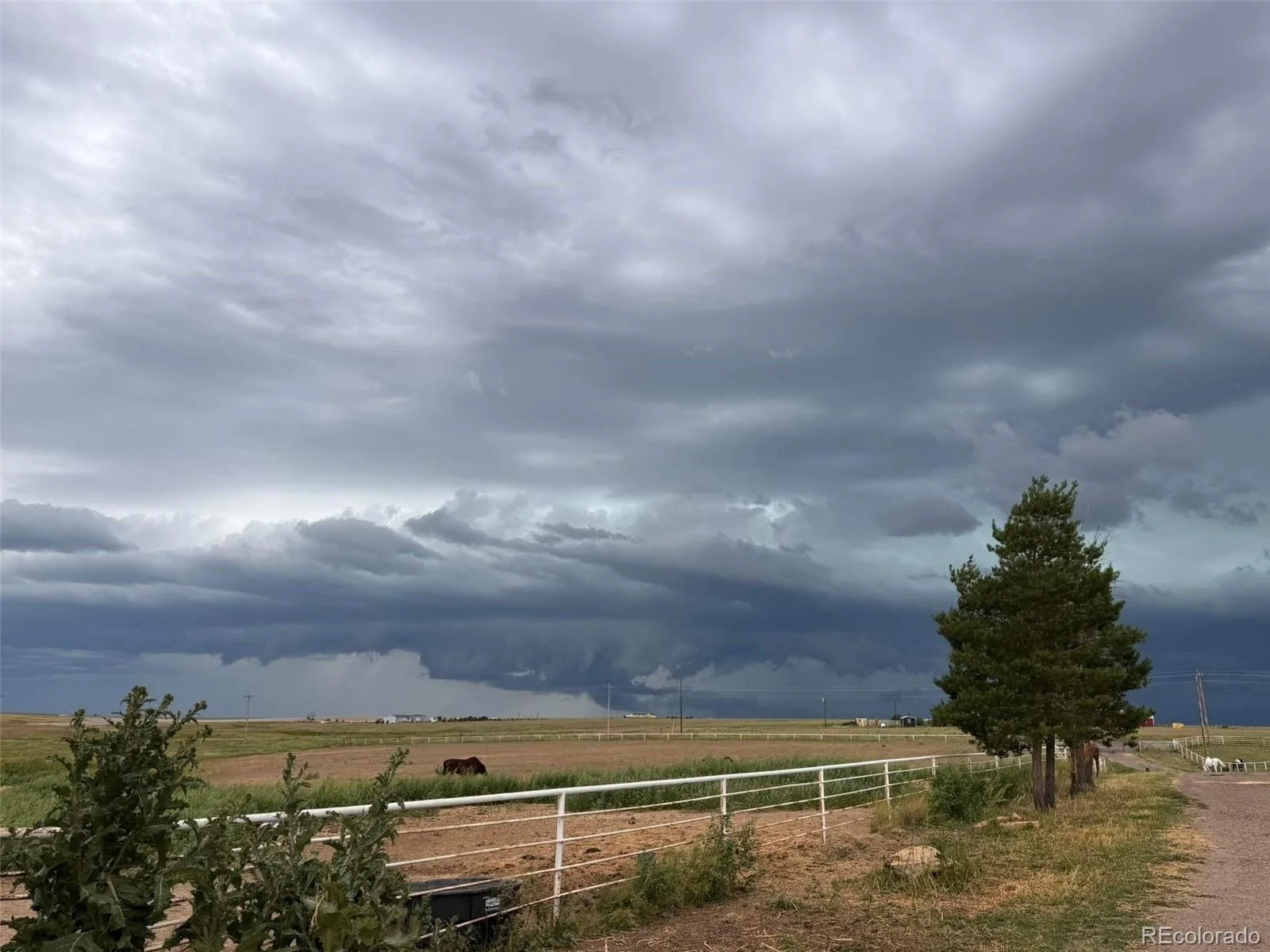 6450 County Road 181 Byers CO 80103 | MLS #REC4650499 07252026180449 1600 46