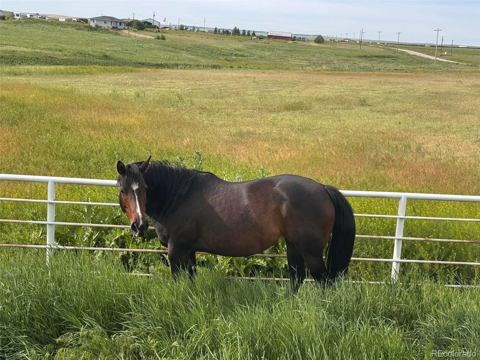6450 County Road 181 Byers CO 80103 | MLS #REC4650499 07252026180449 1600 47