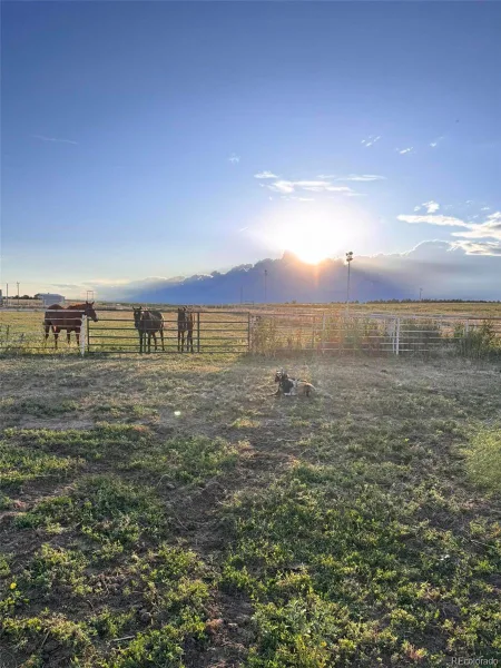 6450 County Road 181 Byers CO 80103 | MLS #REC4650499 07252026180449 800 44