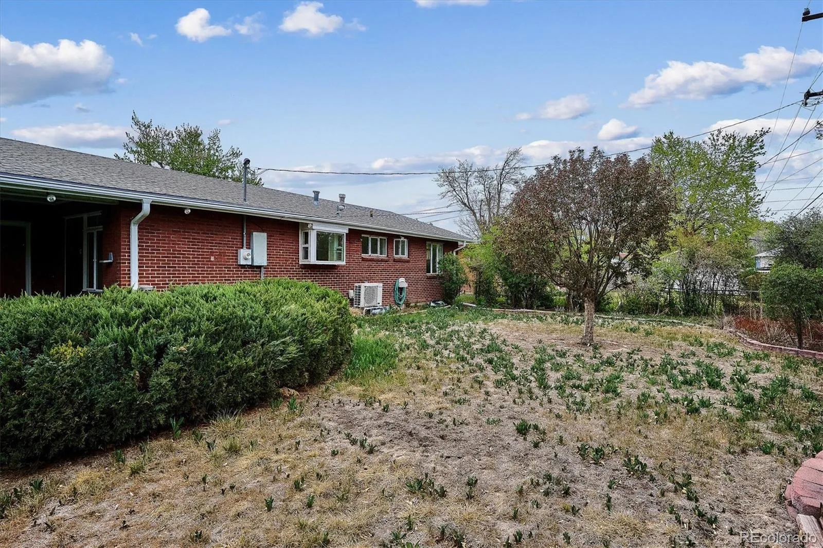 722 S Holly Street Denver CO 80246 MLS #REC4650525 05132026212428 1600 21