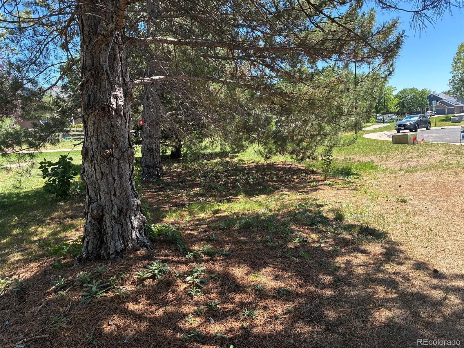 4187 E 134th Drive Thornton CO 80241 | MLS #REC4652924 07152026075644 1600 6