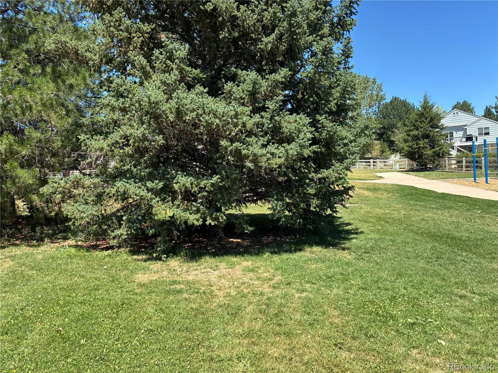 4187 E 134th Drive Thornton CO 80241 | MLS #REC4652924 07152026075644 1600 7