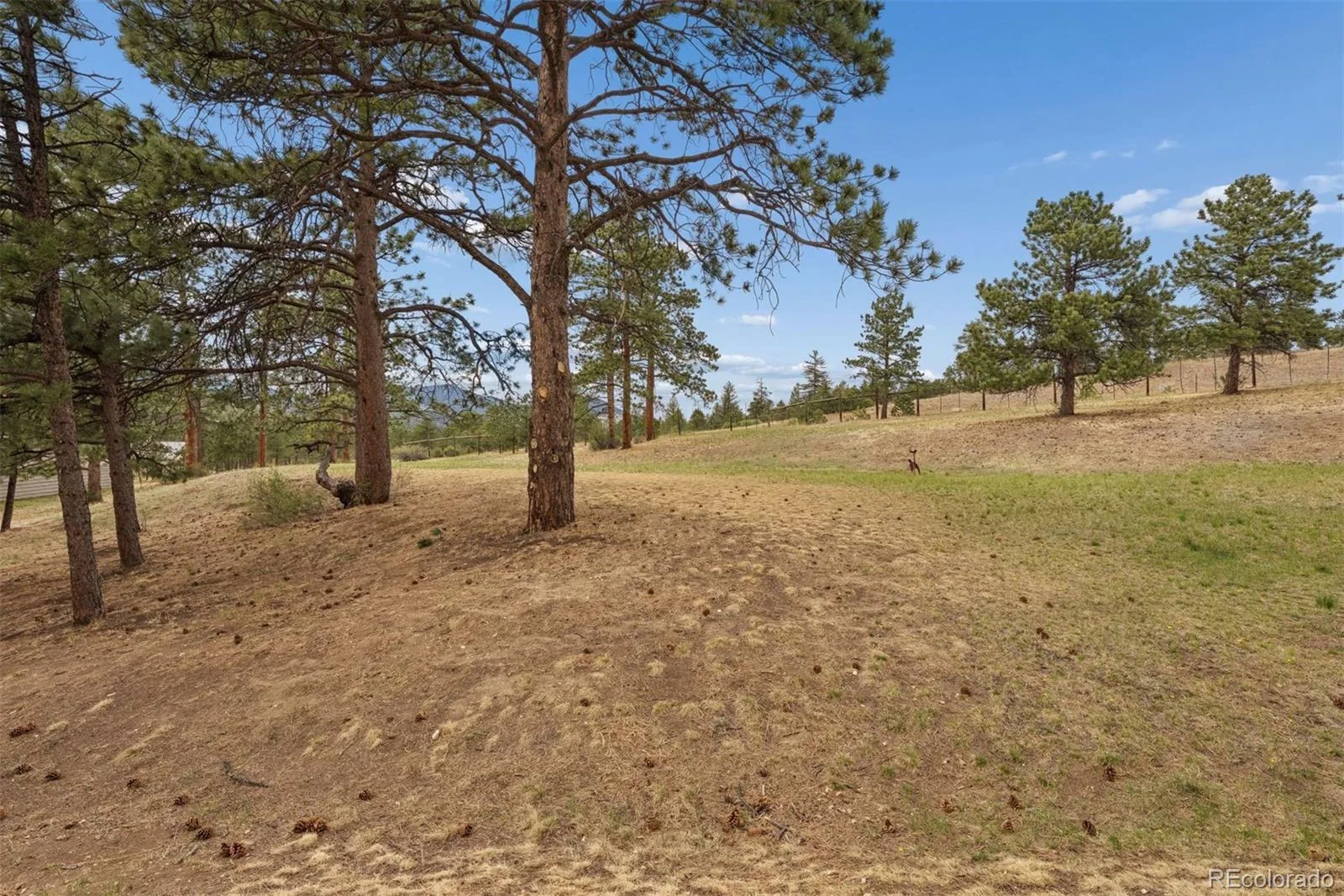 31819 Rocky Village Drive #101 Evergreen CO 80439 | MLS #REC4654907 06202026161116 1600 31