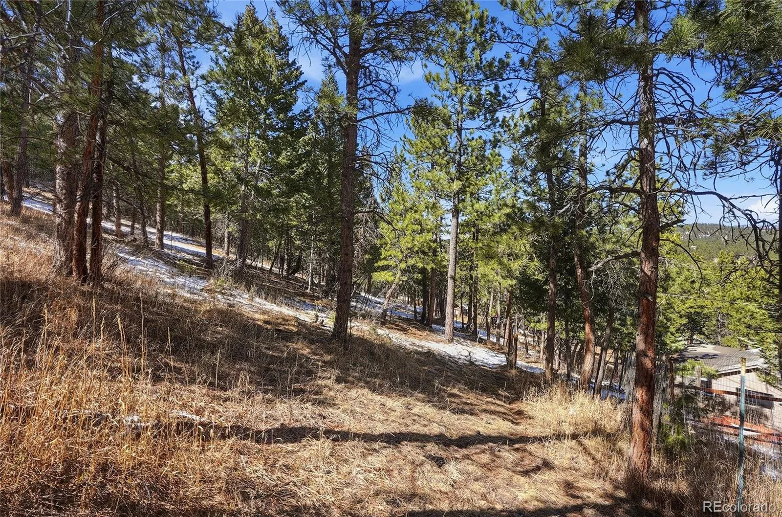 3025 Yucca Drive Evergreen CO 80439 | MLS #REC4662105 03132026193618 1600 17