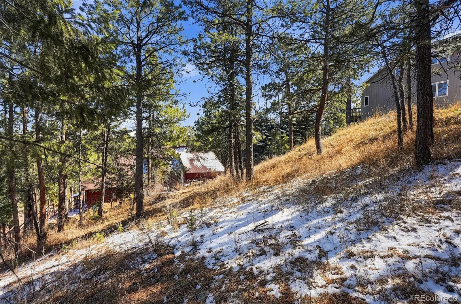 3025 Yucca Drive Evergreen CO 80439 | MLS #REC4662105 03132026193618 1600 18