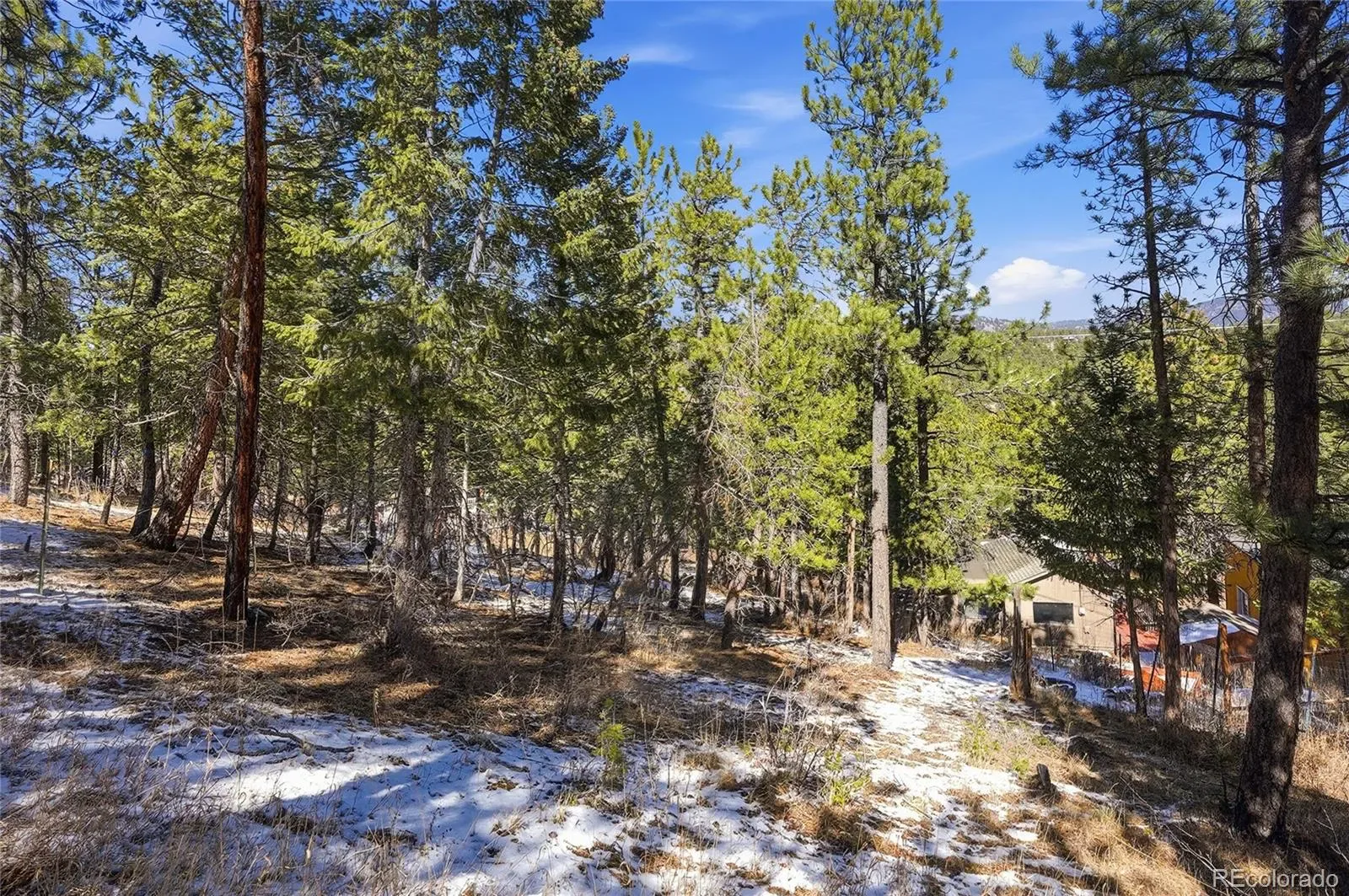3025 Yucca Drive Evergreen CO 80439 | MLS #REC4662105 03132026193618 1600 19