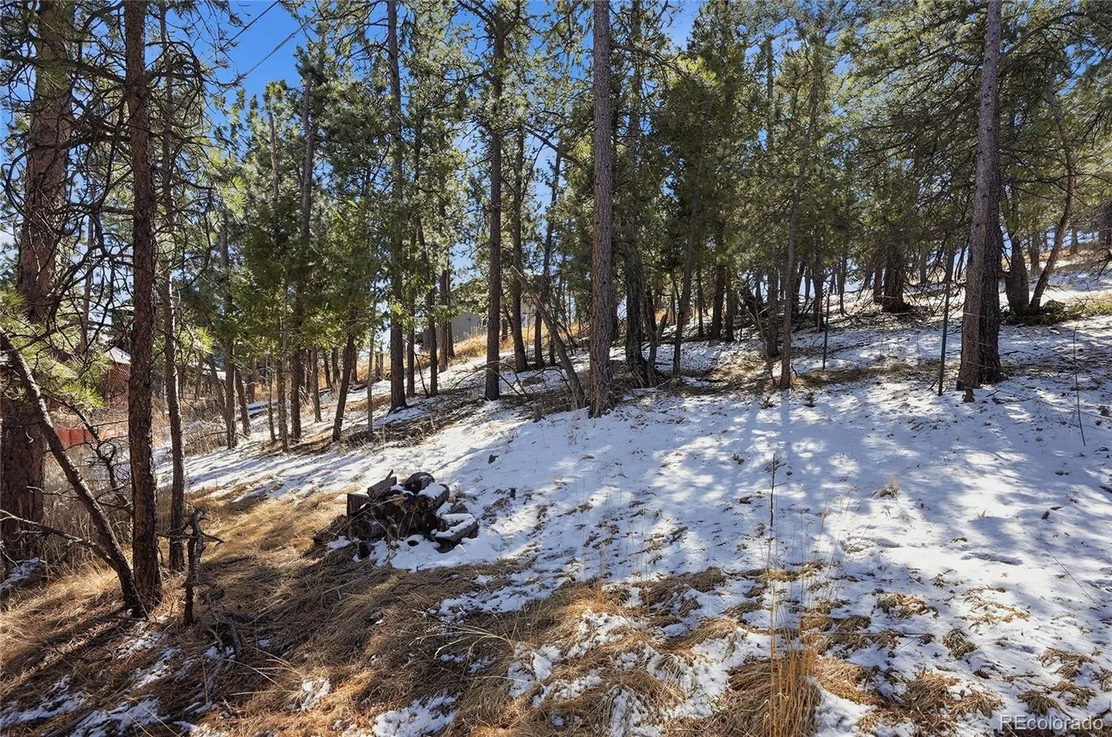 3025 Yucca Drive Evergreen CO 80439 | MLS #REC4662105 03132026193618 1600 20