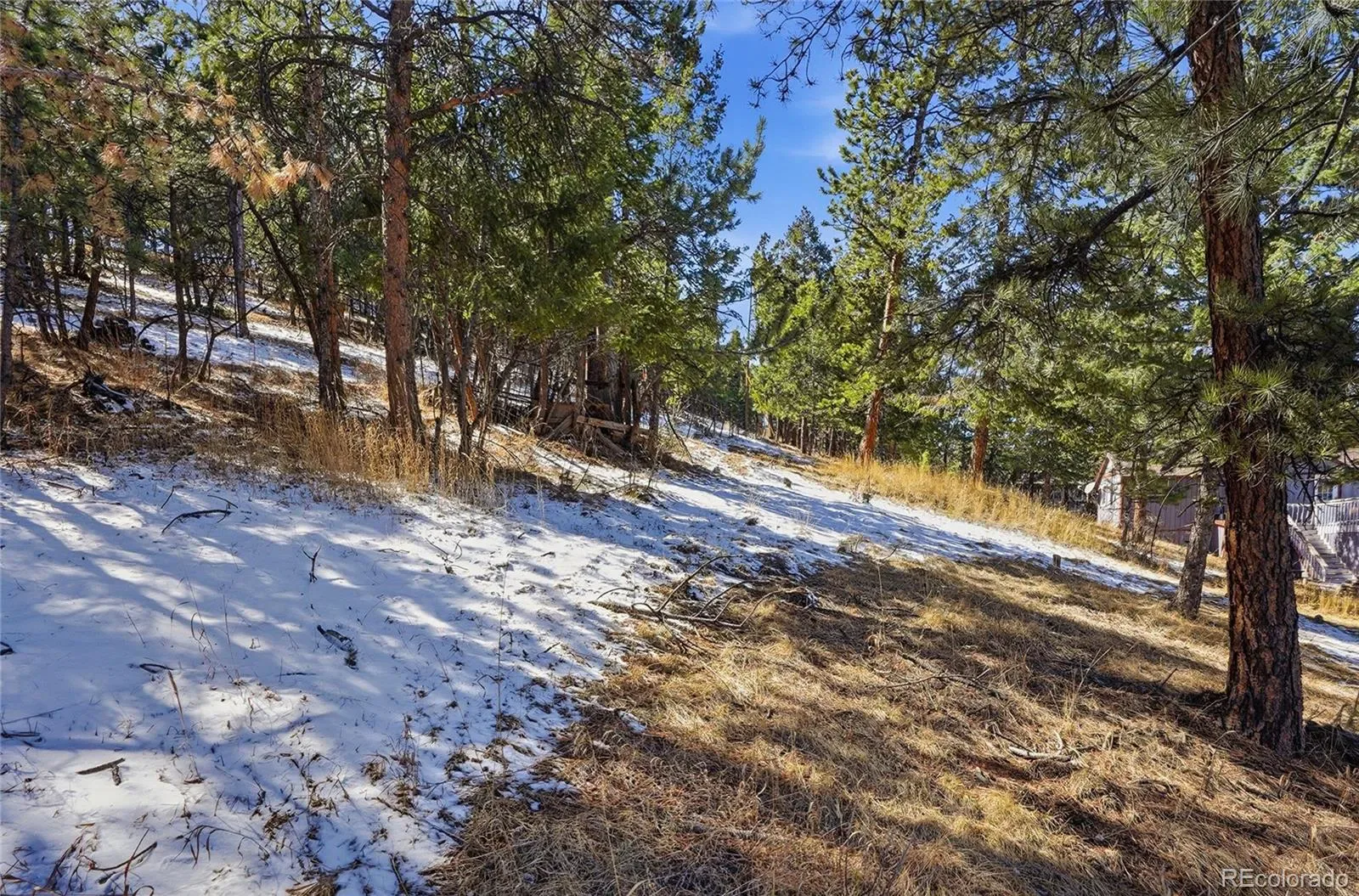 3025 Yucca Drive Evergreen CO 80439 | MLS #REC4662105 03132026193618 1600 25