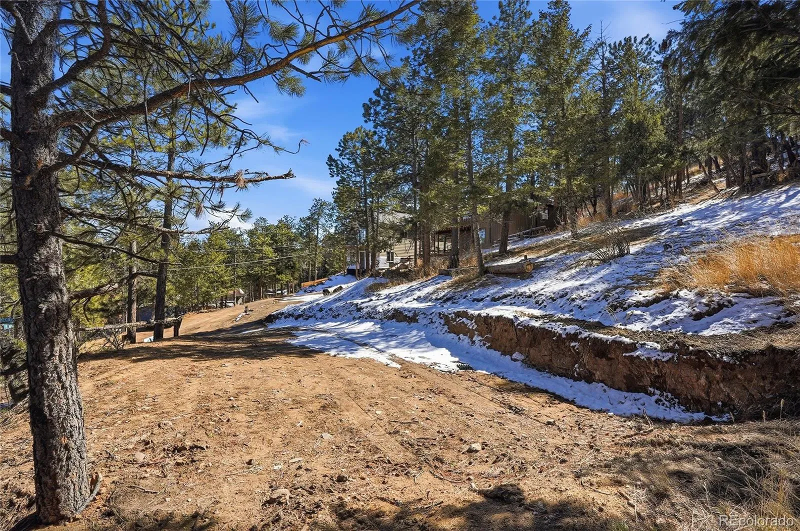 3025 Yucca Drive Evergreen CO 80439 | MLS #REC4662105 03132026193618 1600 5