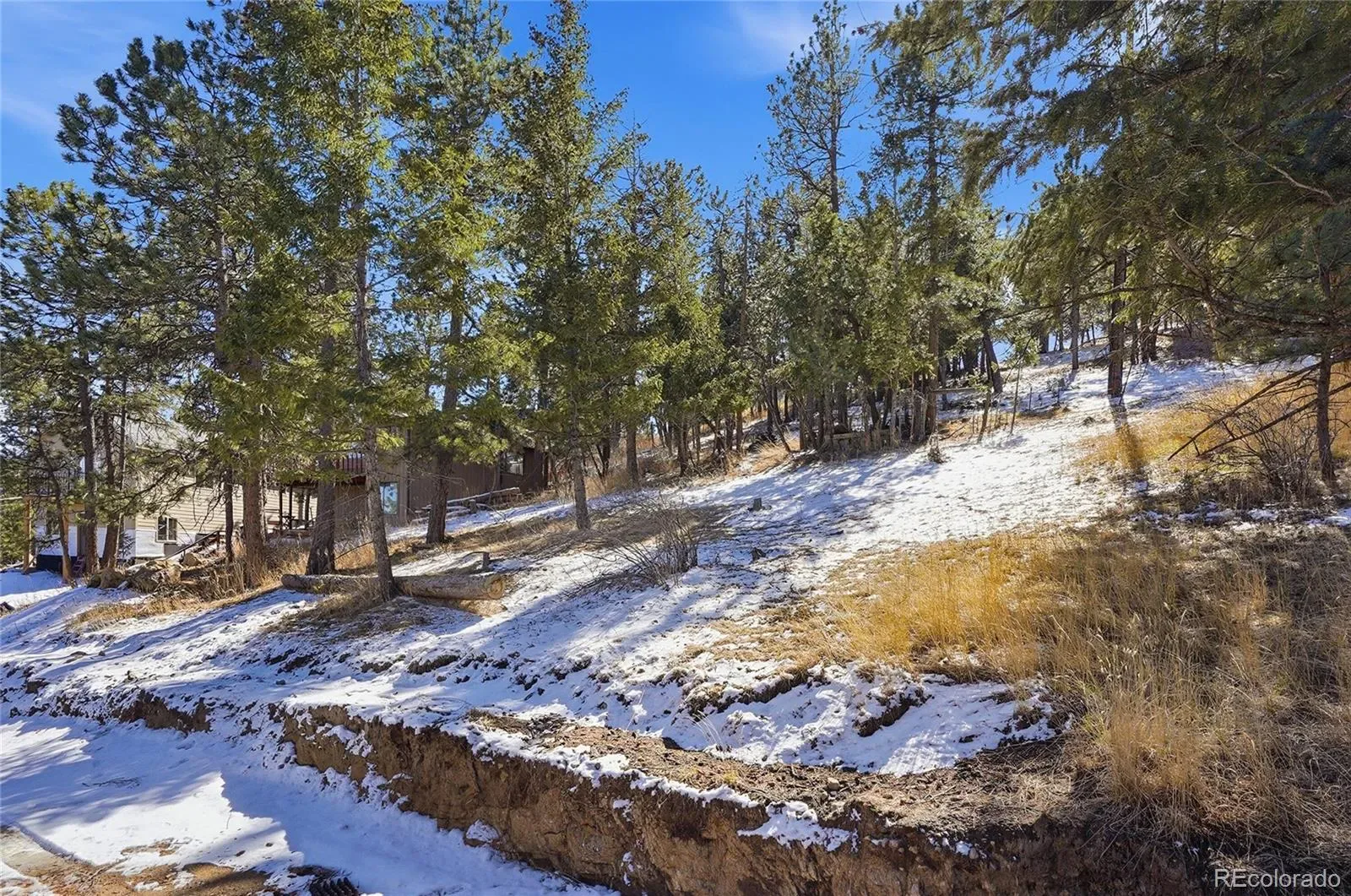 3025 Yucca Drive Evergreen CO 80439 | MLS #REC4662105 03132026193618 1600 6