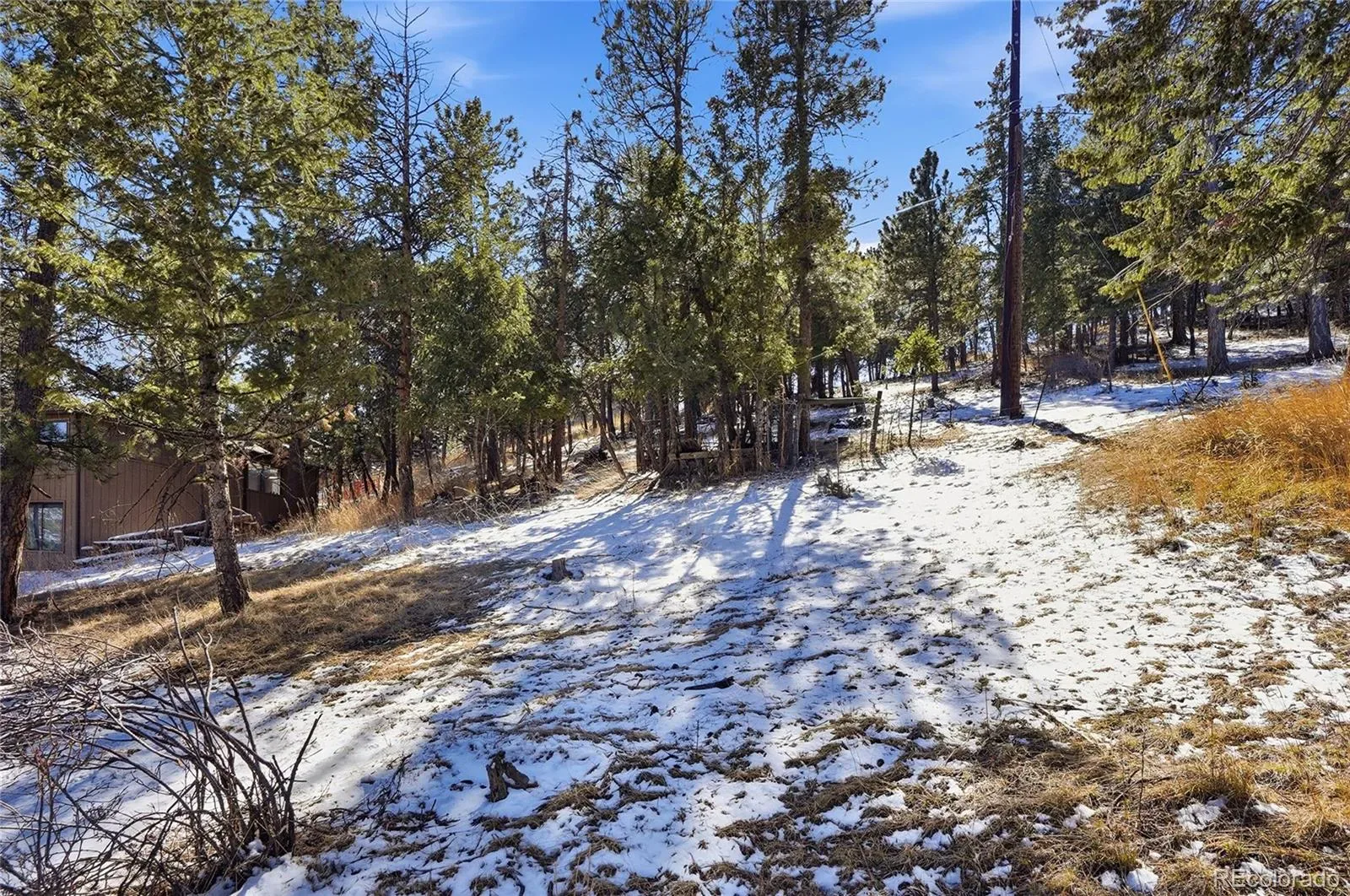 3025 Yucca Drive Evergreen CO 80439 | MLS #REC4662105 03132026193618 1600 7