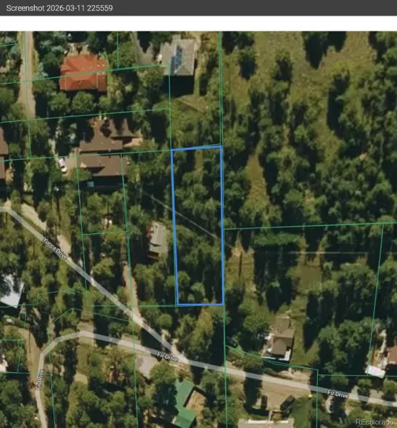 3025 Yucca Drive Evergreen CO 80439 | MLS #REC4662105 03132026193618 800 38