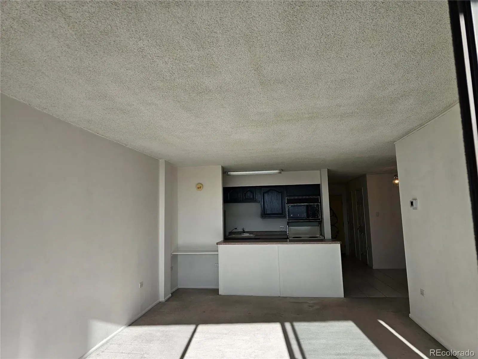 1020 15th Street #33B Denver CO 80202 MLS #REC4663183 02232026184614 1600 19
