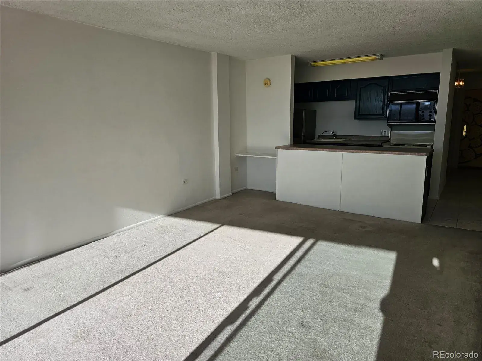 1020 15th Street #33B Denver CO 80202 MLS #REC4663183 02232026184614 1600 21