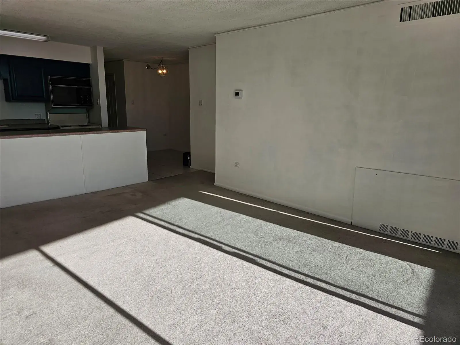 1020 15th Street #33B Denver CO 80202 MLS #REC4663183 02232026184614 1600 23