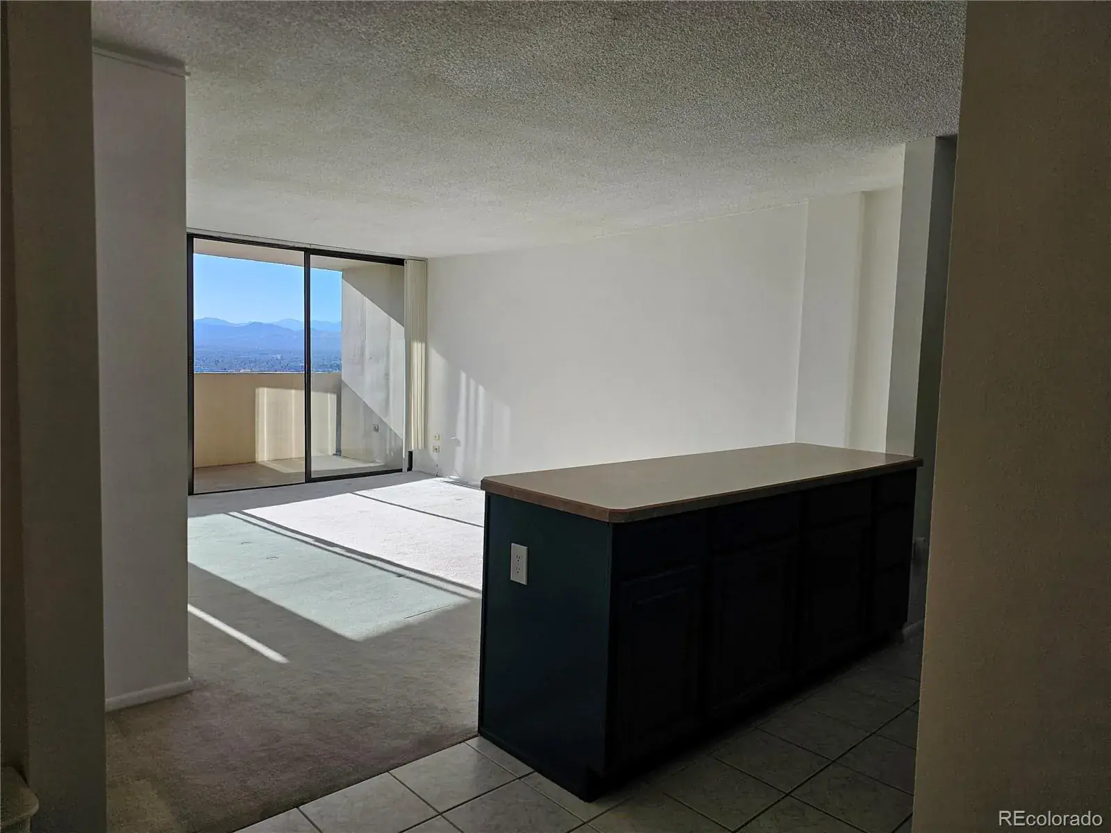 1020 15th Street #33B Denver CO 80202 MLS #REC4663183 02232026184614 1600 27