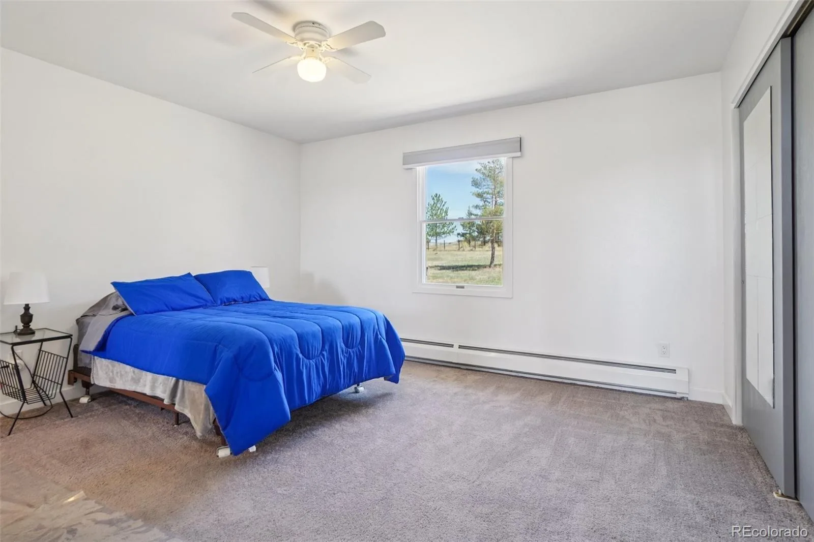 7152 Homestead Road Parker CO 80138 | MLS #REC4678116 07152026204033 1600 20