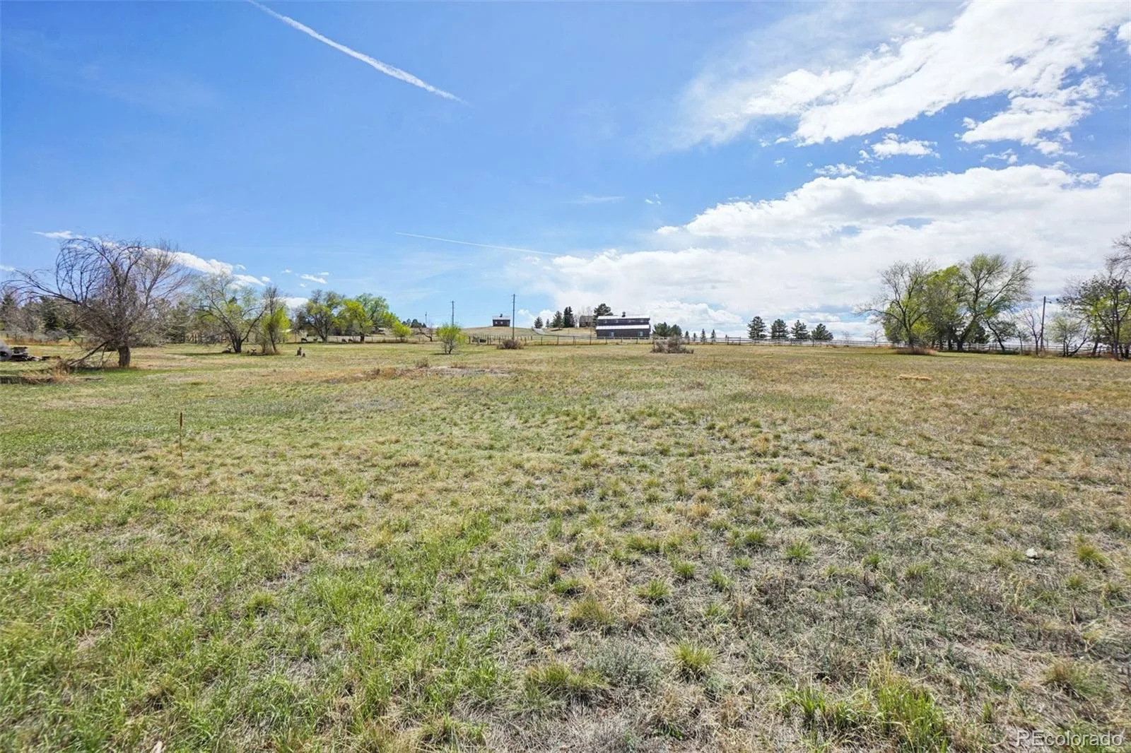 7152 Homestead Road Parker CO 80138 | MLS #REC4678116 07152026204033 1600 48