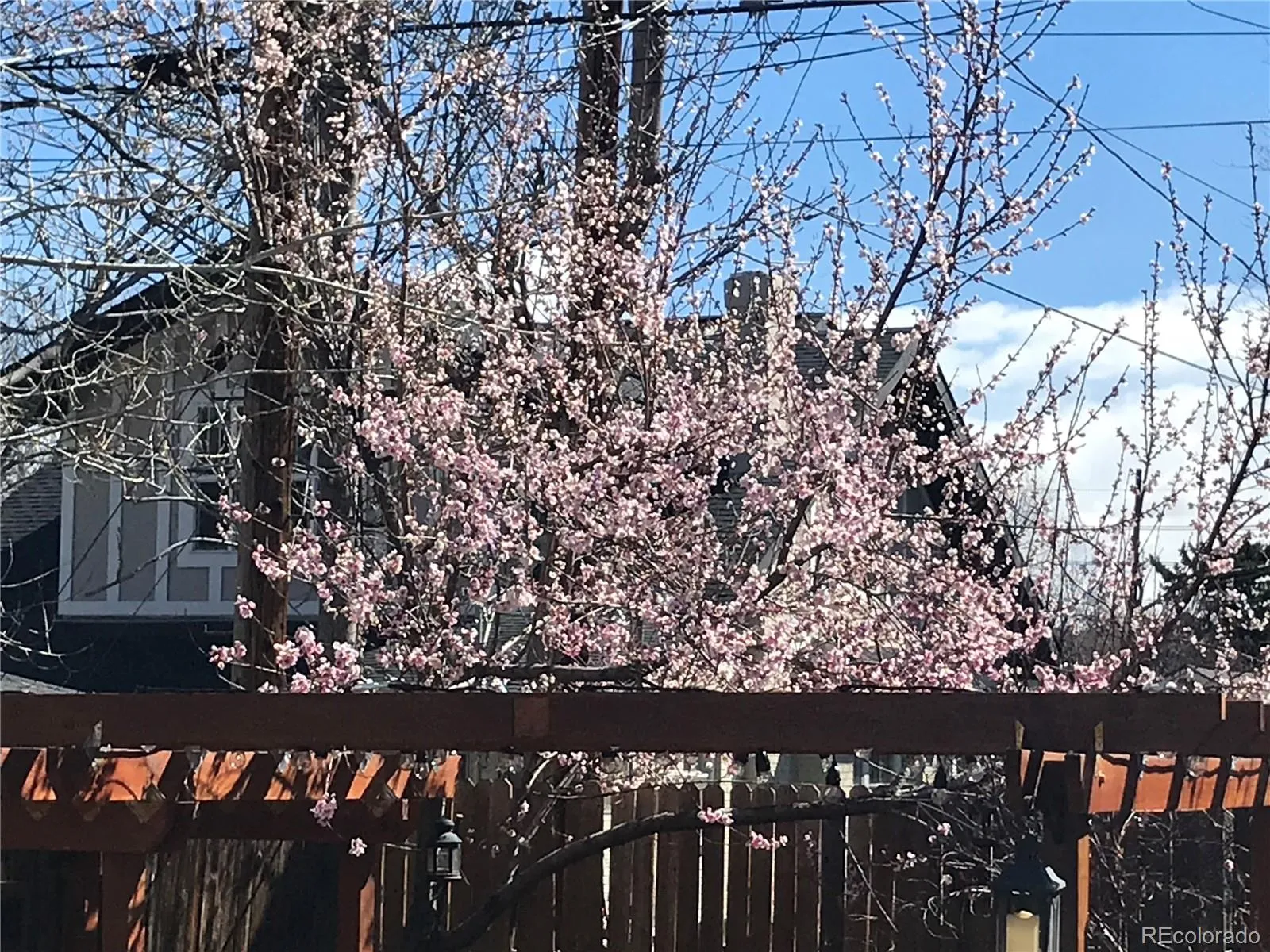 04172026154743 1600 49