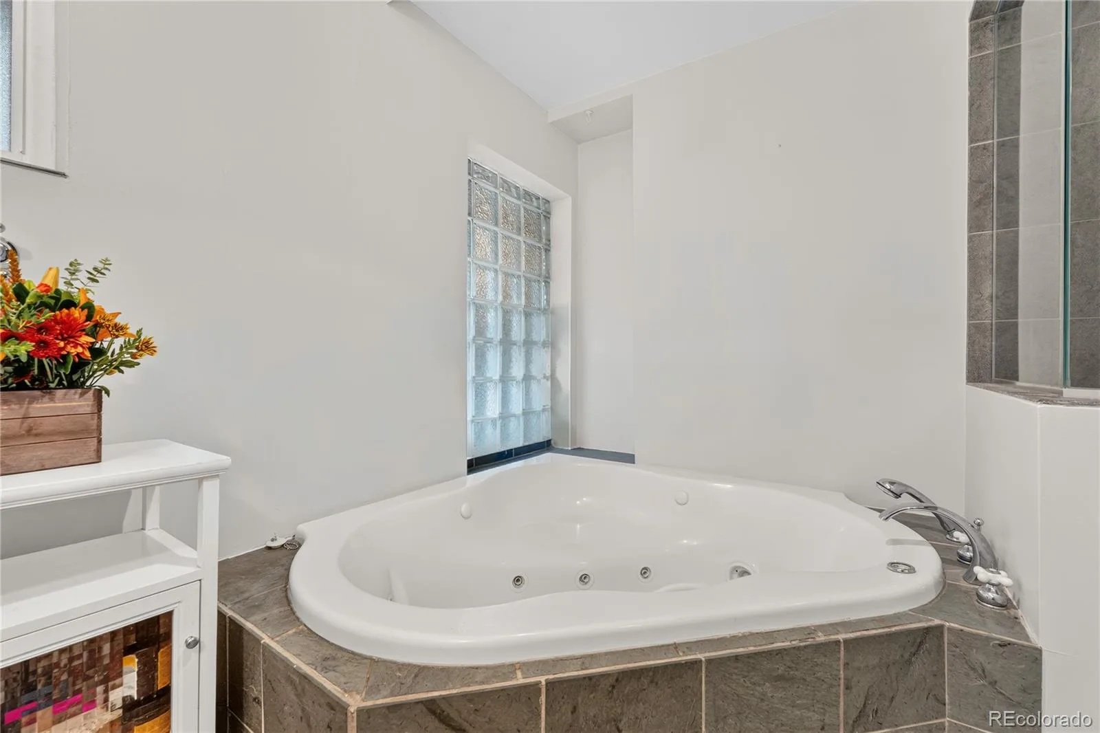 3183 S Columbine Street Denver CO 80210 | MLS #REC4684349 10152026192818 1600 21