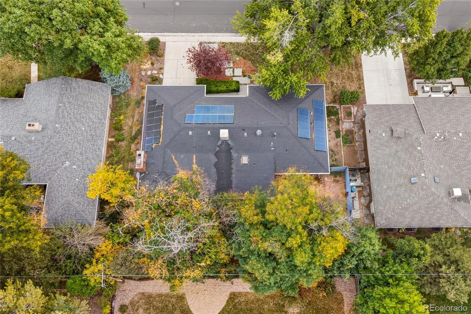 3183 S Columbine Street Denver CO 80210 | MLS #REC4684349 10152026192818 1600 32