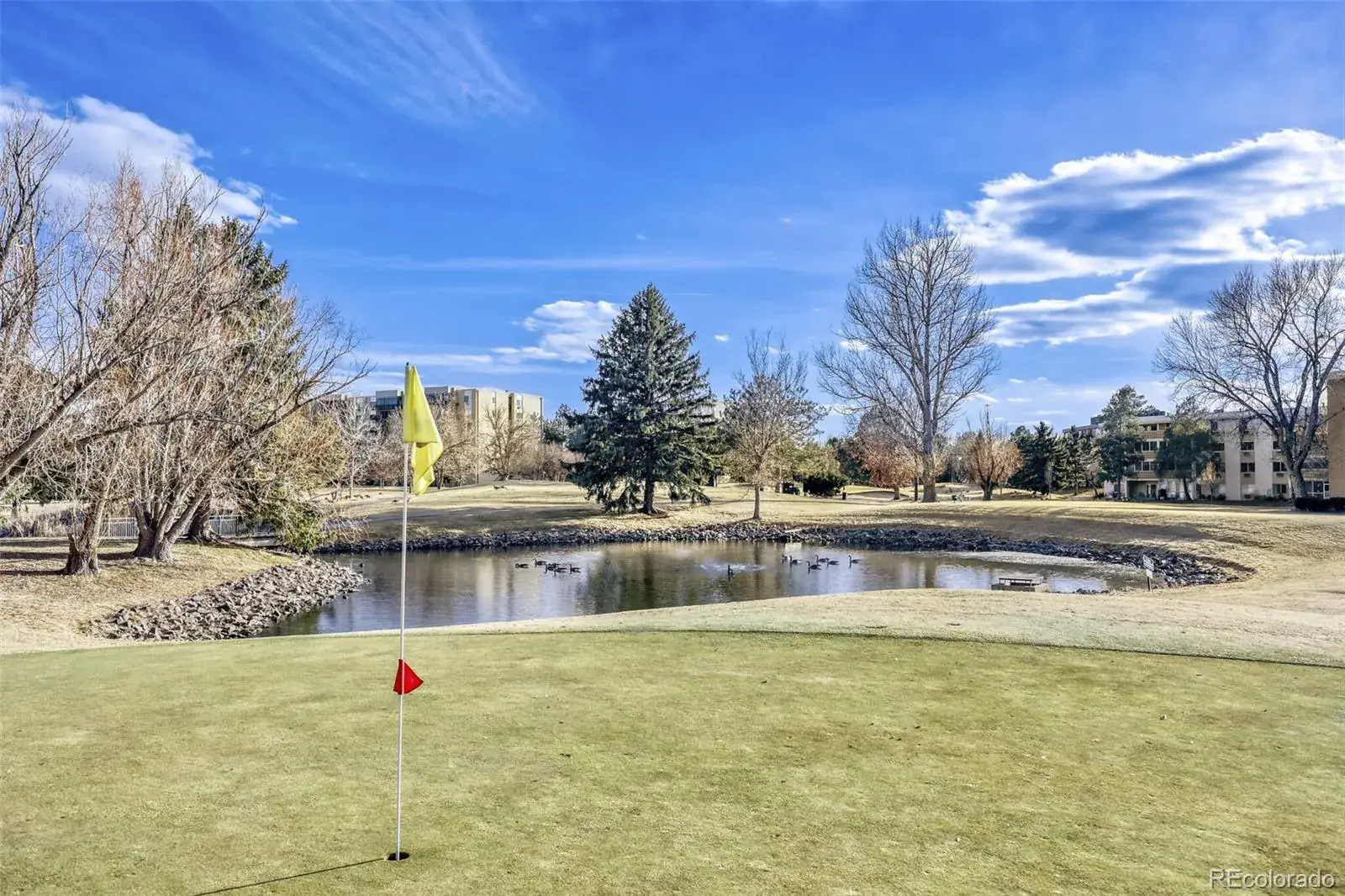 13626 E Bates Avenue #103 Aurora CO 80014 MLS #REC4687403 02122026194424 1600 22