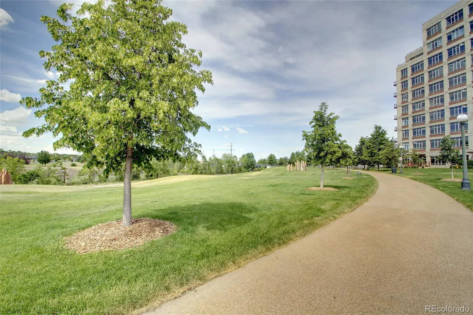 02192026011926 1600 27