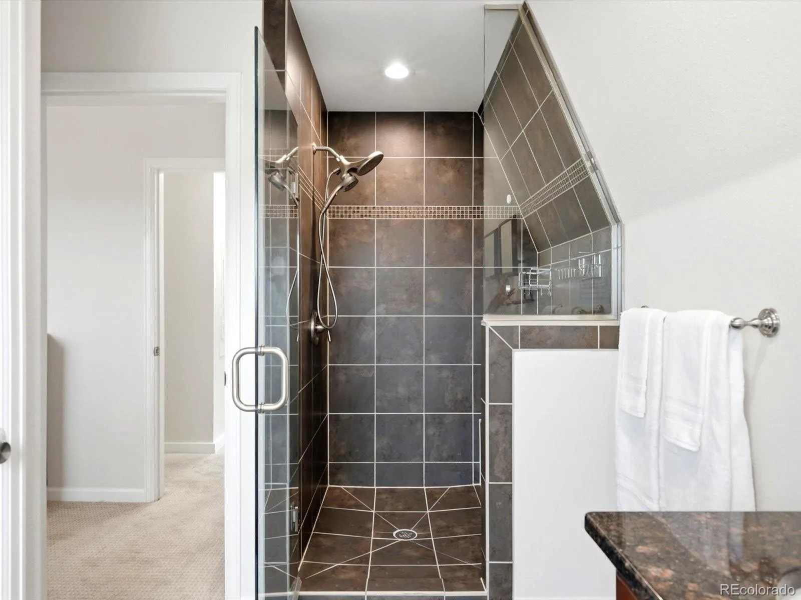 555 S Lincoln Street Denver CO 80209 | MLS #REC4694863 09232026052950 1600 24