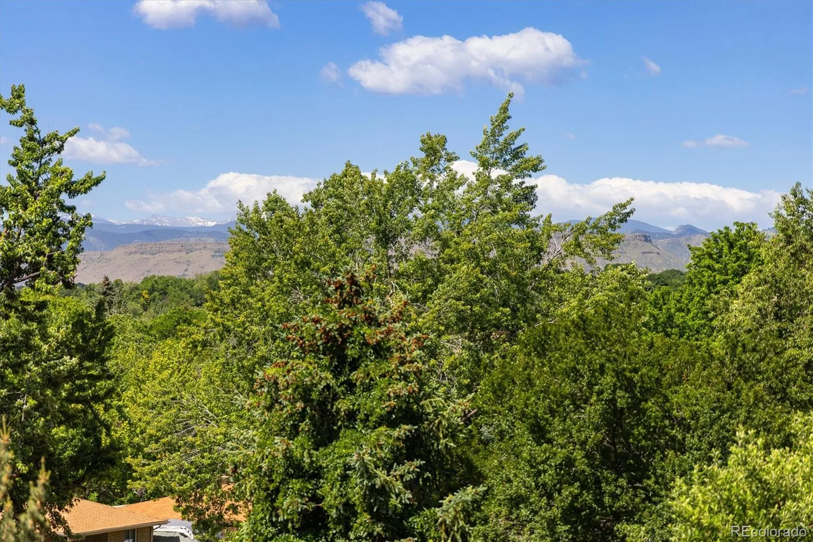 10172 W 69th Avenue Arvada CO 80004 MLS #REC4697075 06112026173805 1600 29
