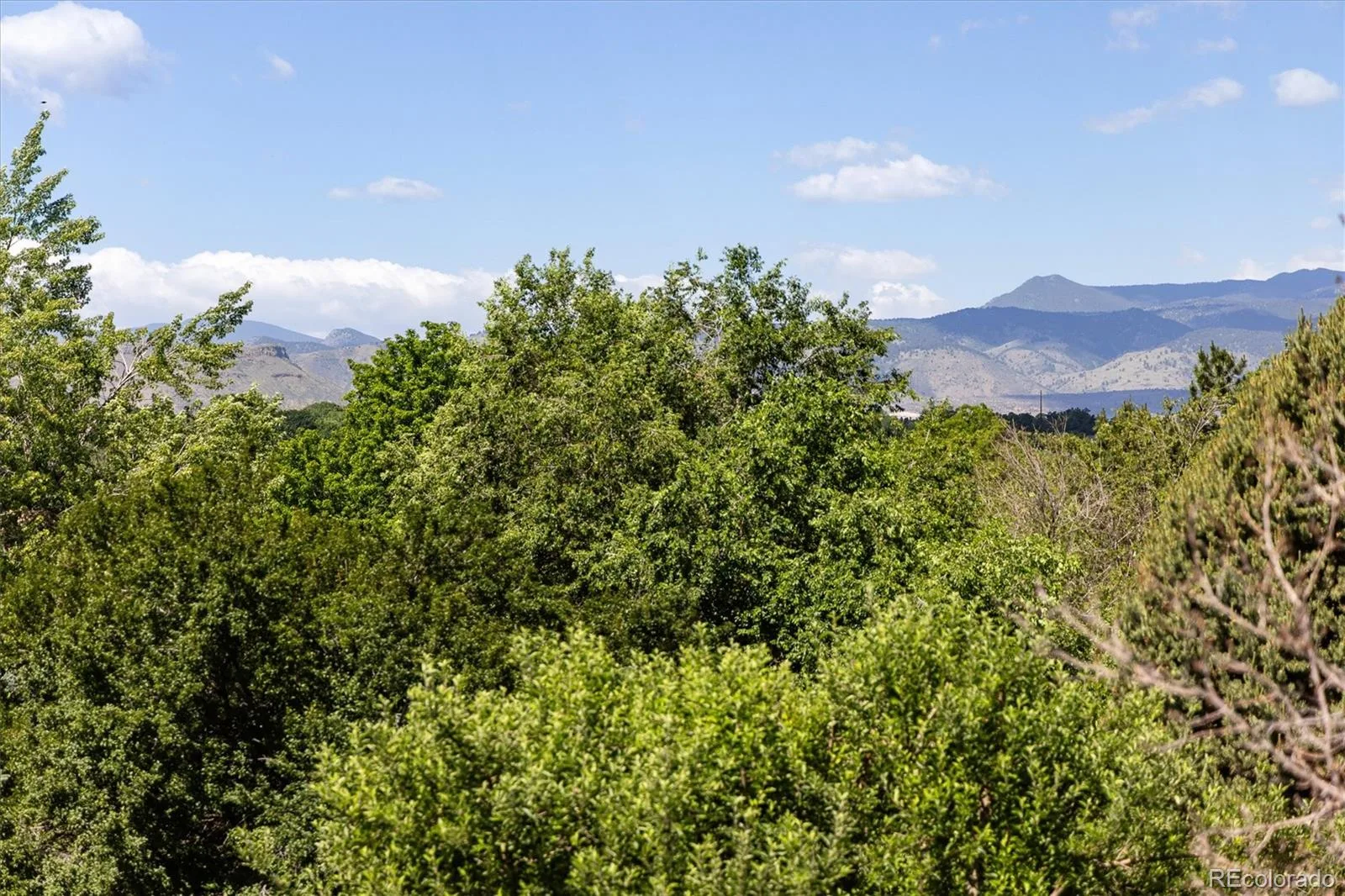 10172 W 69th Avenue Arvada CO 80004 MLS #REC4697075 06112026173805 1600 30