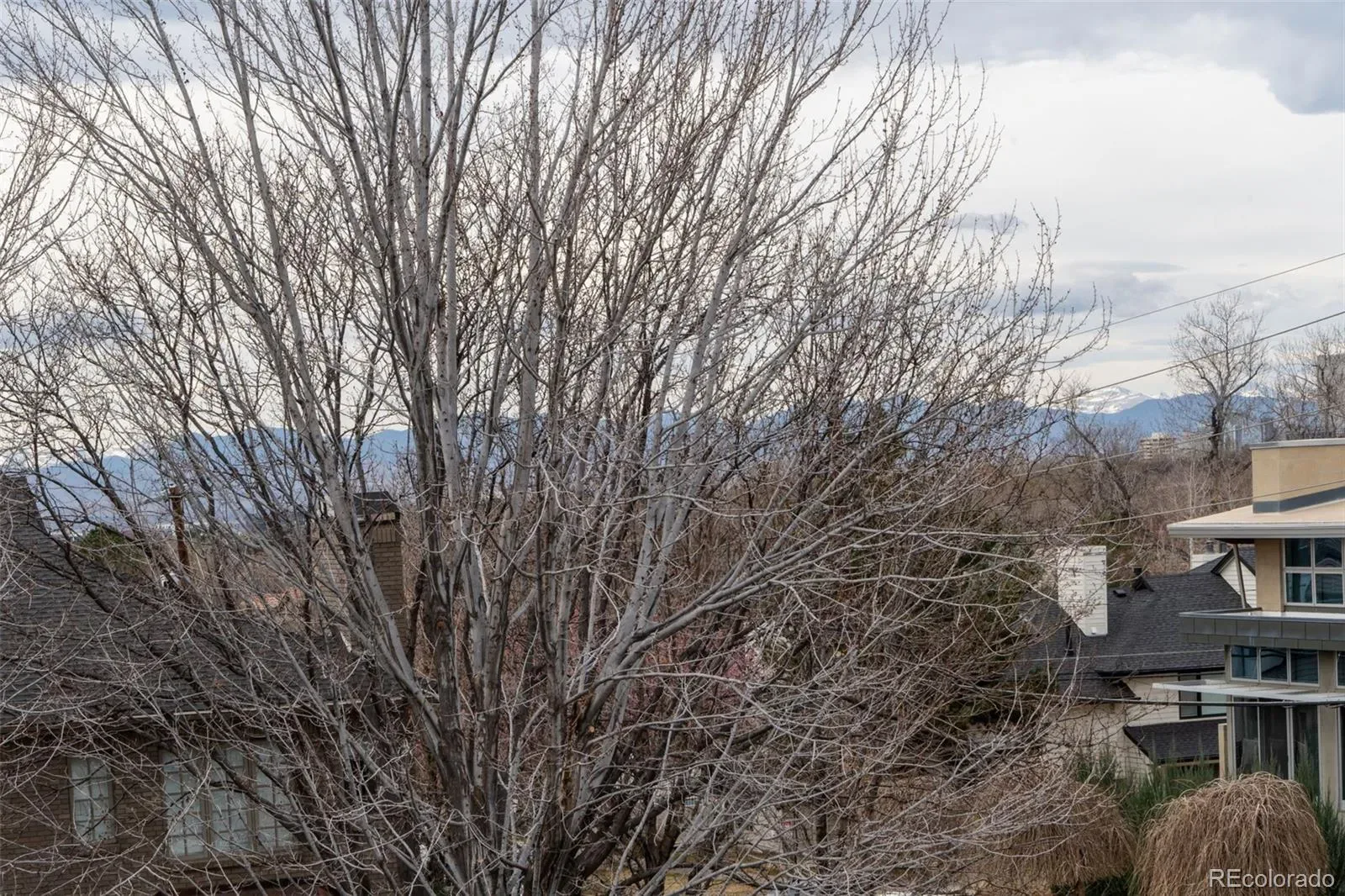 03272026170335 1600 36