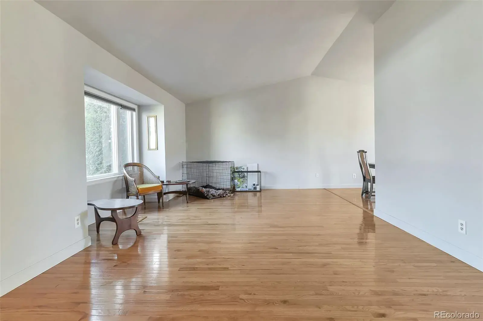 03052026031947 1600 1