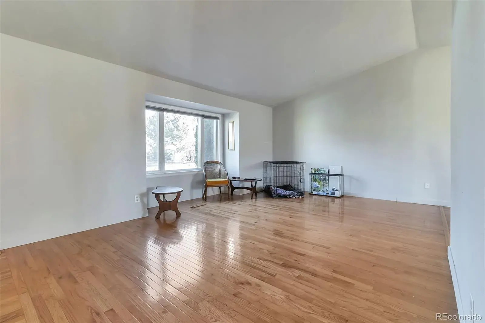 03052026031947 1600 2