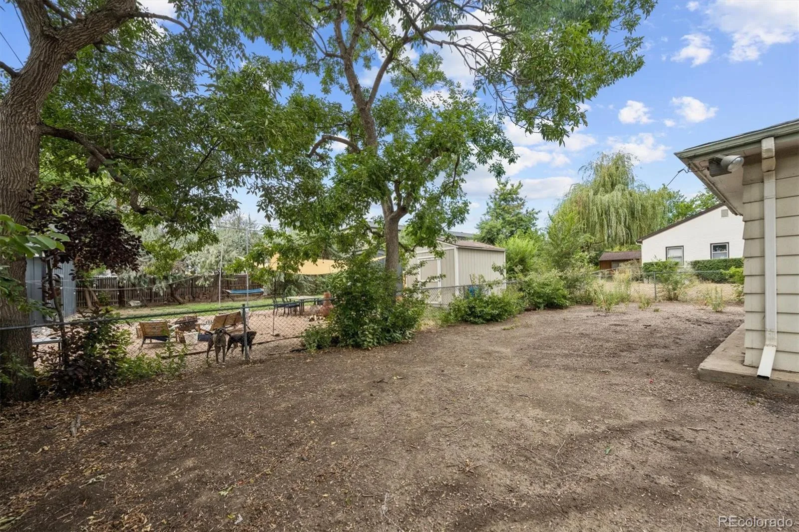 2645 Harlan Street Denver CO 80214 | MLS #REC4704797 08272026172049 1600 21