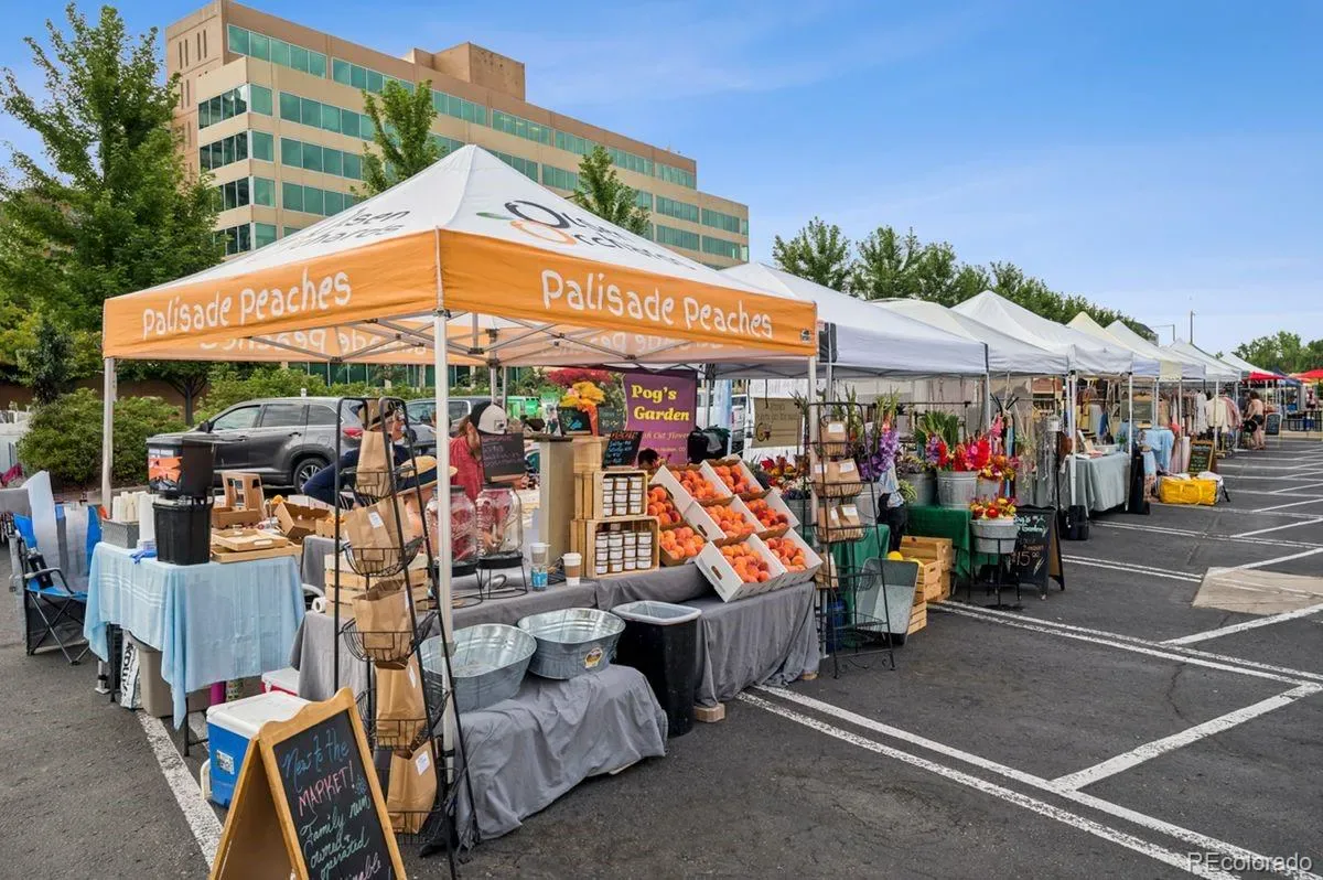 03142026225020 1200 40