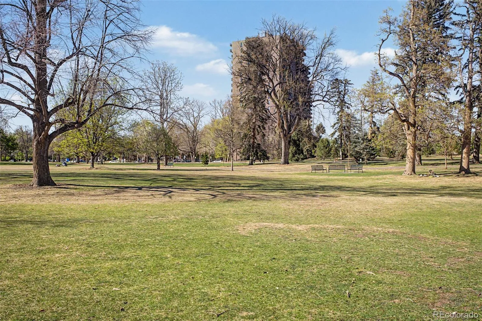 475 S Race Street Denver CO 80209 MLS #REC4711939 04282026180536 1600 44
