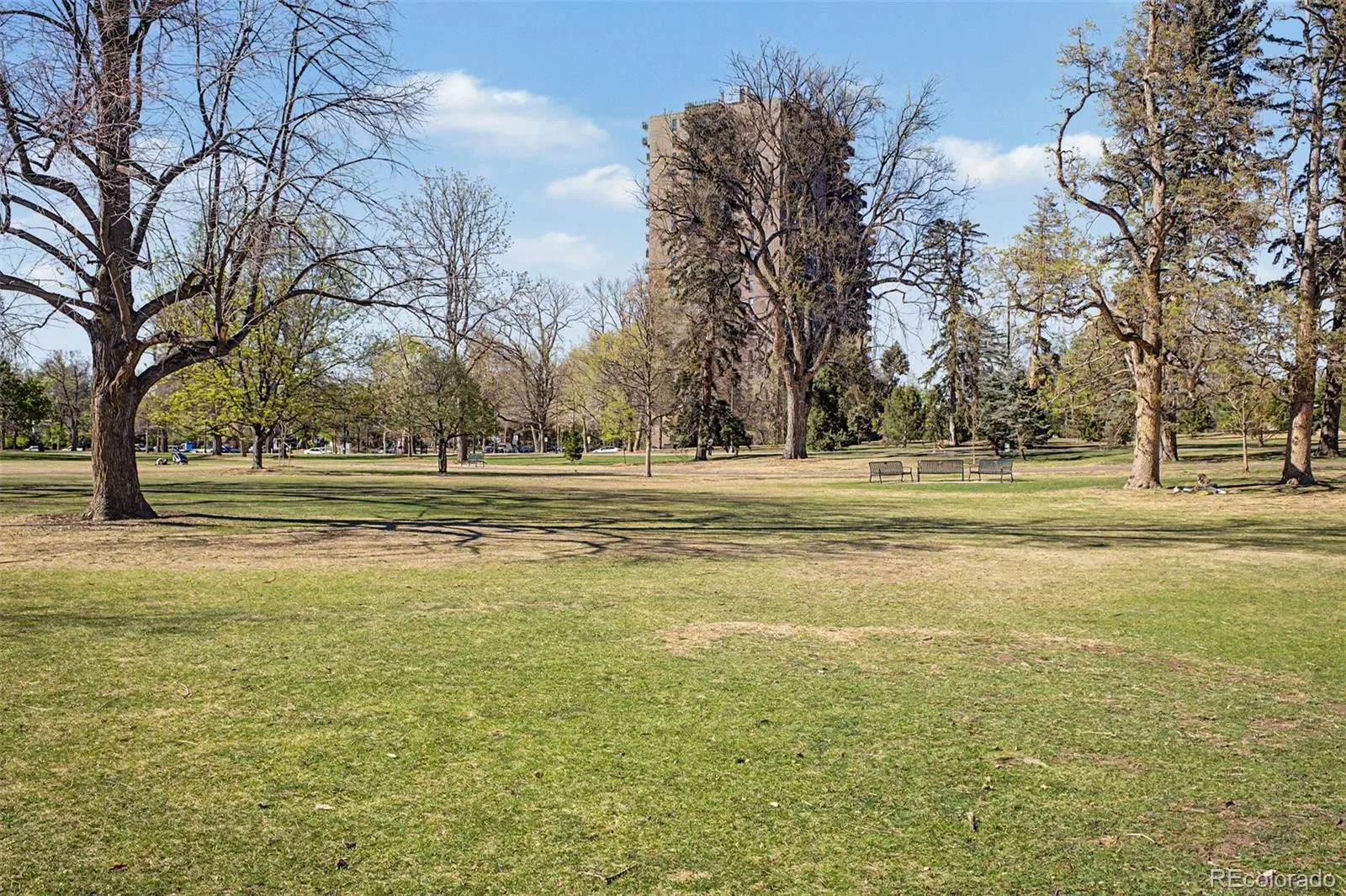 475 S Race Street Denver CO 80209 MLS #REC4711939 06112026210353 1600 44