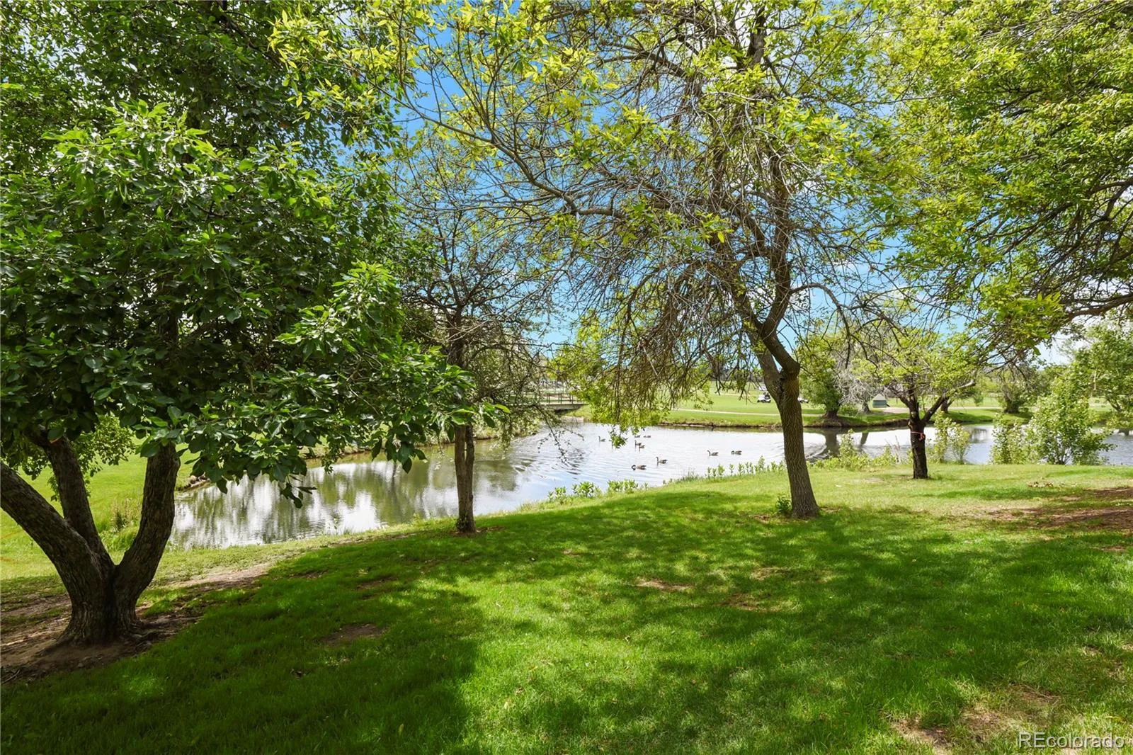13660 E Evans Avenue Aurora CO 80014 | MLS #REC4716431 08292026123234 1600 32
