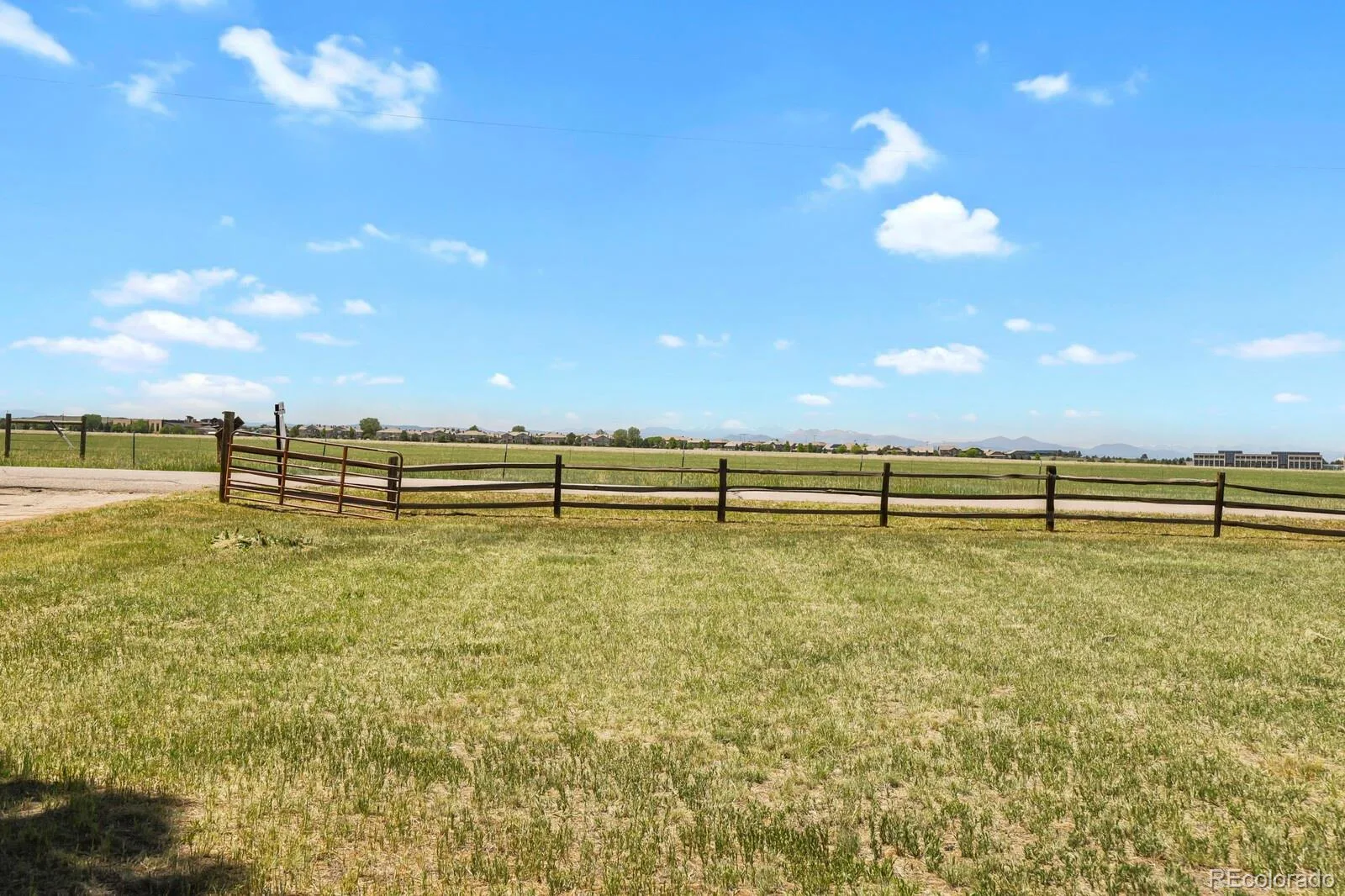 12222 N 1st Street Parker CO 80134 MLS #REC4716633 06122026073329 1600 34