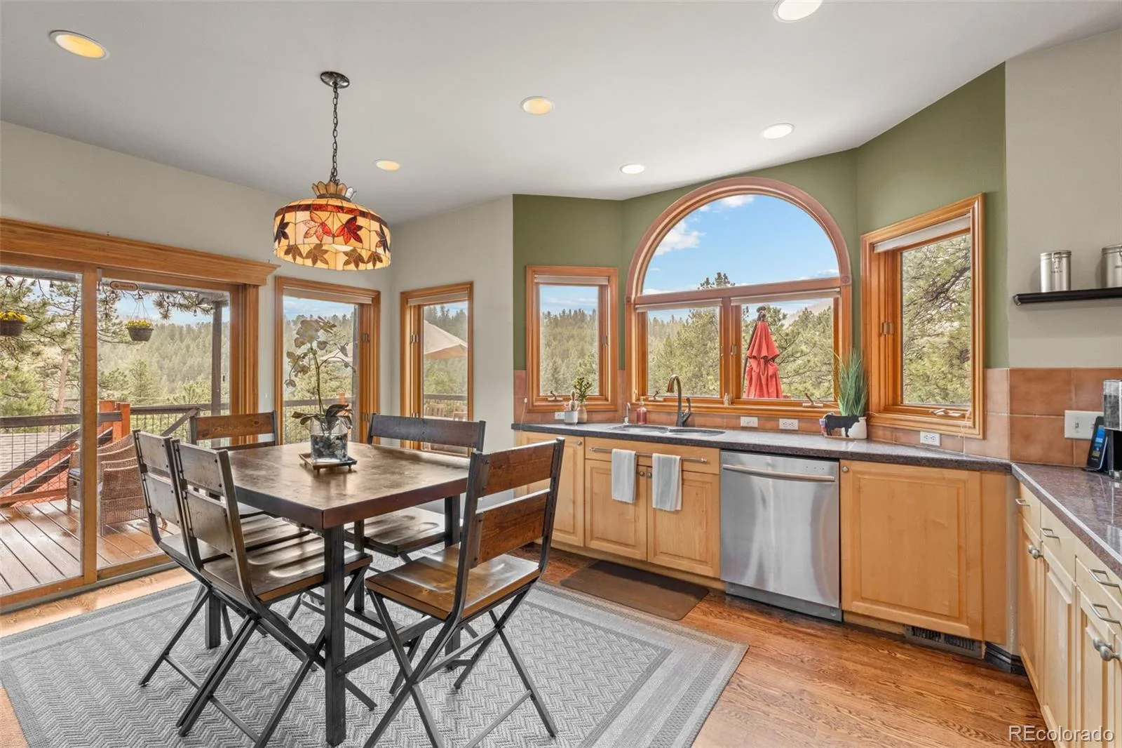 6327 S King Road Evergreen CO 80439 | MLS #REC4722602 08262026194802 1600 10