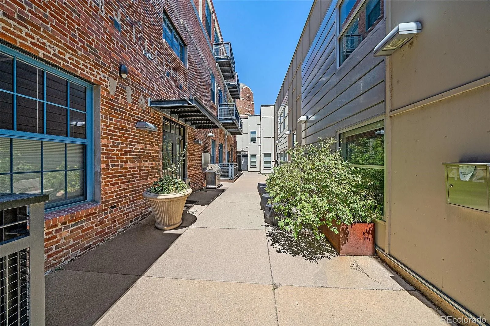 2500 Walnut Street #202 Denver CO 80205 MLS #REC4730697 07062026183603 1600 34