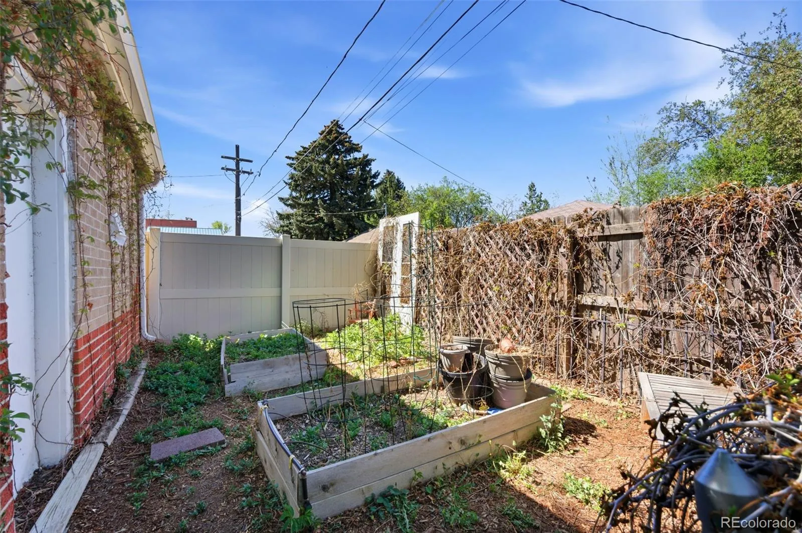 1365 Oneida Street Denver CO 80220 MLS #REC4733444 04252026200829 1600 43