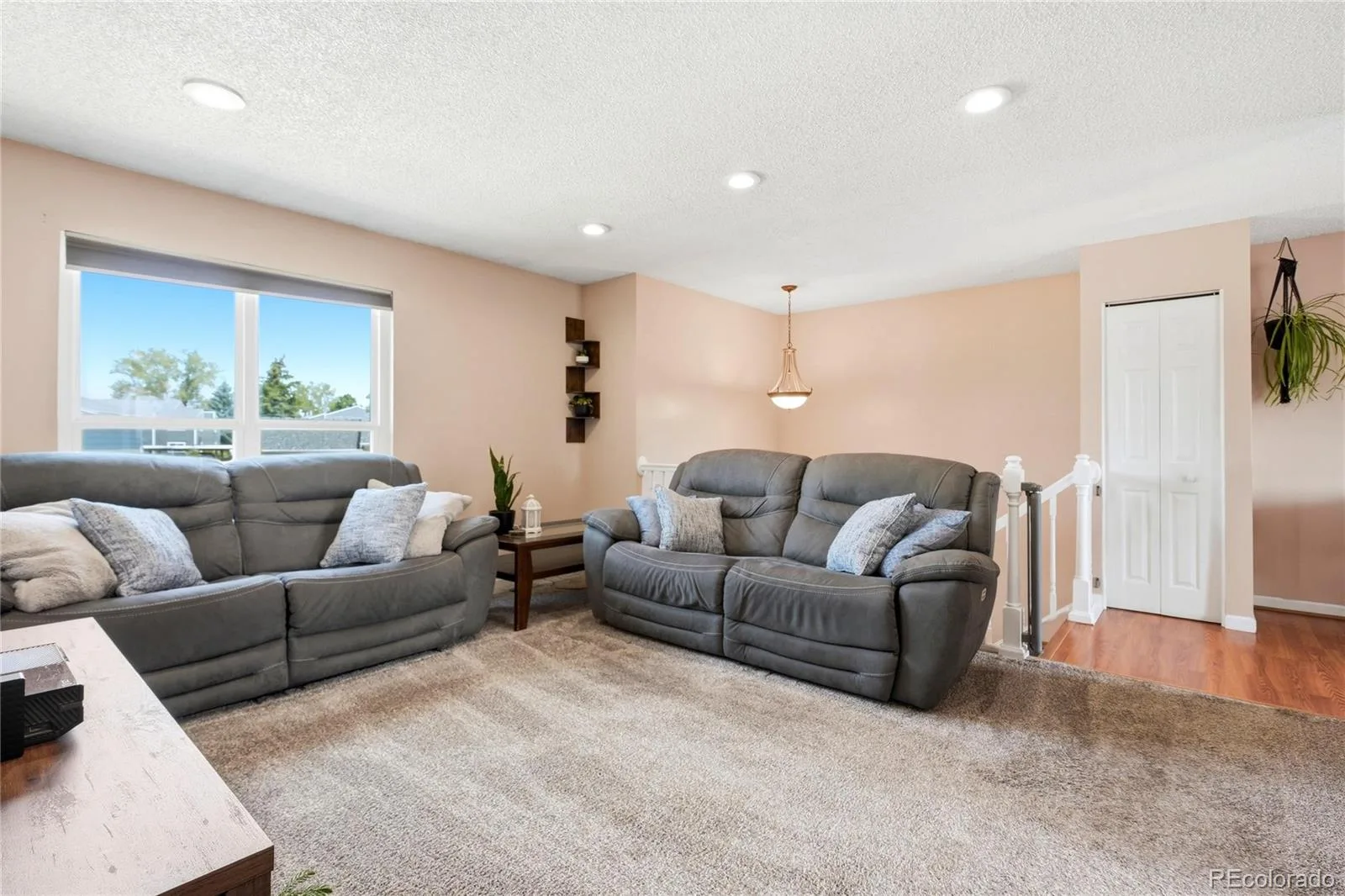 10029 Alcott Street Denver CO 80260 | MLS #REC4734710 08082026192415 1600 3
