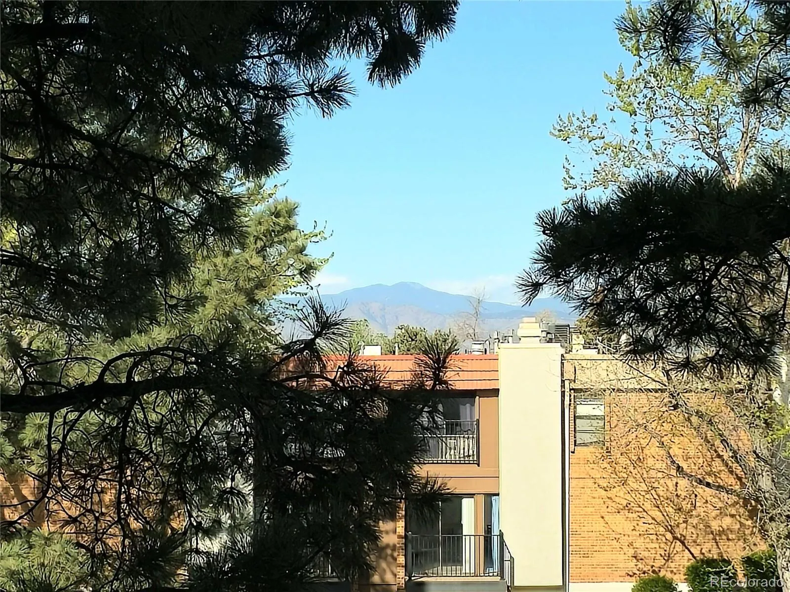 2880 S Locust Street #302N Denver CO 80222 MLS #REC4739154 04282026185053 1600 12