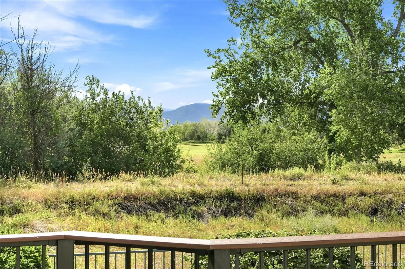 16852 W 65th Circle Arvada CO 80007 | MLS #REC4743771 07272026185130 1600 29