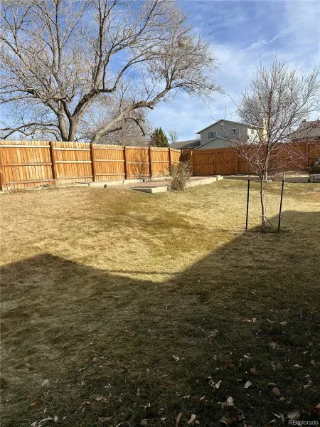 03262026155437 800 27