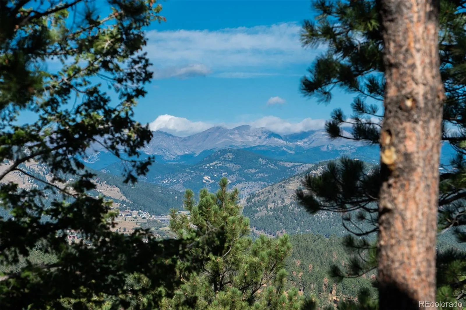 1028 Blue Grass Trail Evergreen CO 80439 | MLS #REC4746094 08212026144353 1600 1