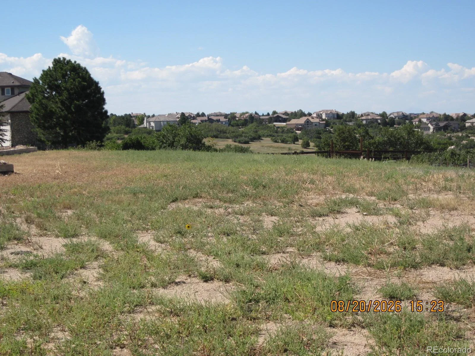 1507 White Fir Terrace Castle Rock CO 80108 | MLS #REC4752302 08302026225638 1600 3