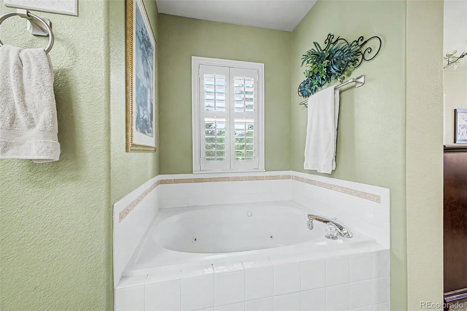 4 Whitehaven Circle Highlands Ranch CO 80129 | MLS #REC4754329 08202026211613 1600 23